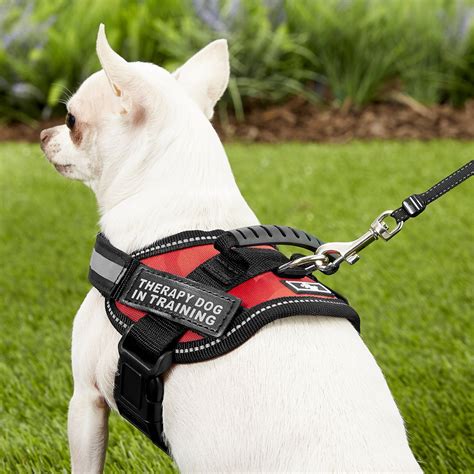 Doggie Stylz Therapy Dog In Training Dog Harness Red Xx Small