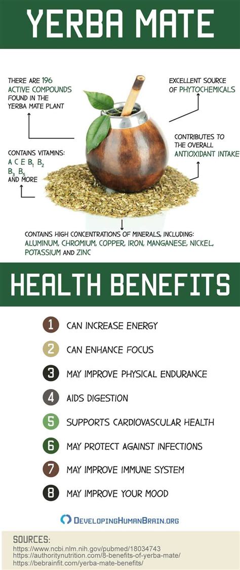 Yerba Mate For The Brain All You Need To Know Tea Benefits Healthy Benefits Natural Medicine