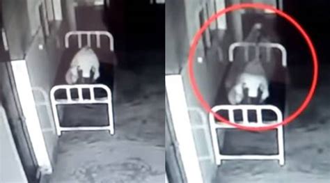 Watch Creepy Video Footage Shows ‘soul Leaving A Body In A China