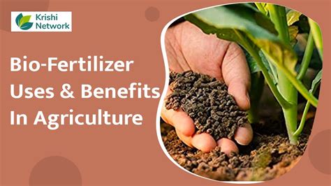 What Are Bio Fertilizer And Its Uses Organic Farming Krishi