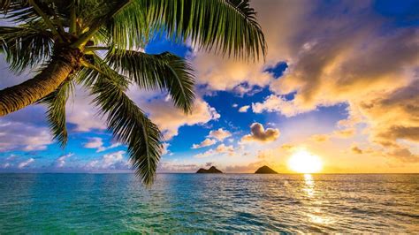 What Are The Best Islands To Visit In Hawaii Next Vacay