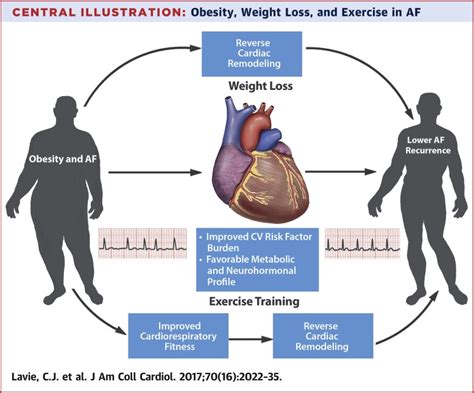 Obesity And Atrial Fibrillation Prevalence Pathogenesis And Prognosisjournal Of The American