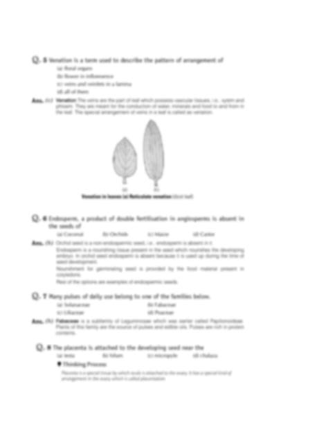 Solution Morphology And Flowering Plants Biology Notes Studypool
