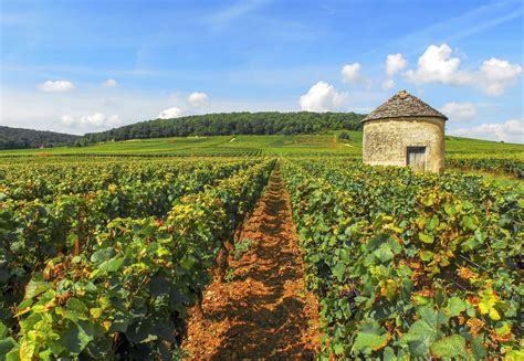 Les Paysages Et Climats Du Vignoble De Bourgogne La Bourgogne