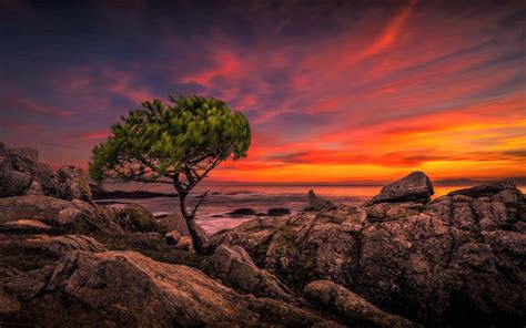 Beautiful Sunset In Horizon Ocean Wallpaper, HD Nature 4K Wallpapers ...