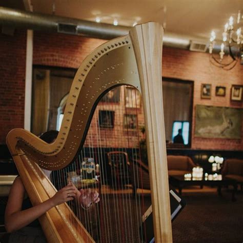 Hire The Traveling Harpist Harpist In Apple Valley California