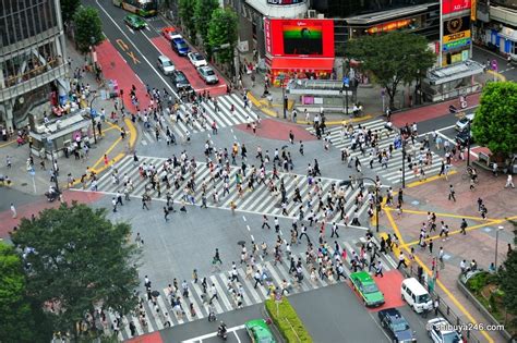 Tokyos Iconic Shibuya Crossing Amusing Planet