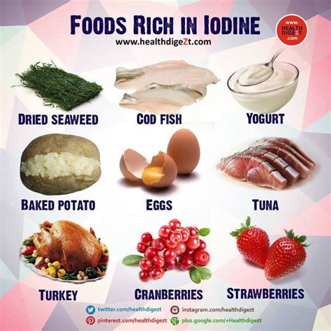 Foods Rich In Iodine Visit Healthdigezt For More And Wellness