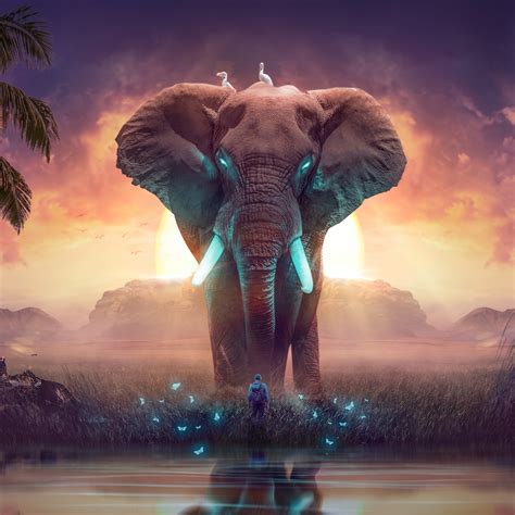 Elephant Art Iphone Wallpaper