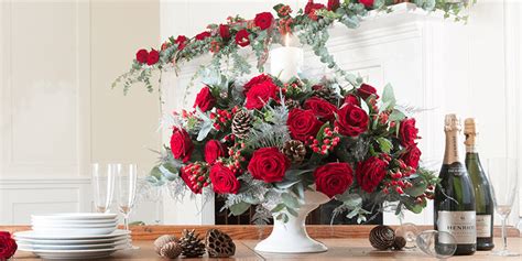 Top 6 Traditional Christmas Flowers And Plants Octopussgardencafe