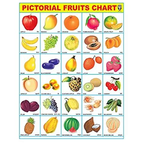 Ibd Pre School Toddlers Educational Fruit Chart Pvc Laminated Single