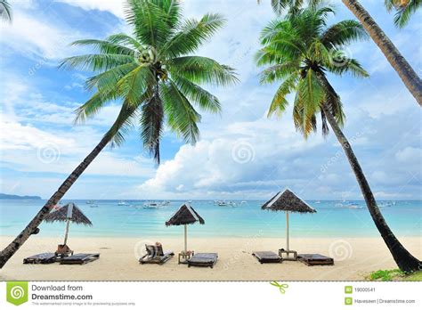Beautiful Beach With Palm Trees Stock Image Image 19000541