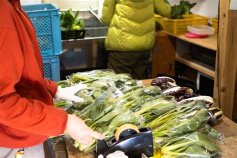 チンゲン菜で常夜鍋！今週の野菜（27 213） ｜ Homemakers Farm And Cafe 小豆島、有機野菜・ジンジャーシロップ