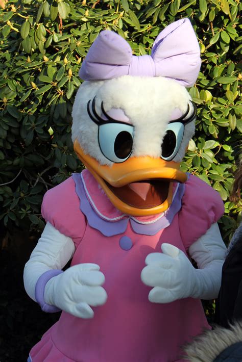 Daisy Duck Disneyland Park Disneyland Paris December 201 Flickr