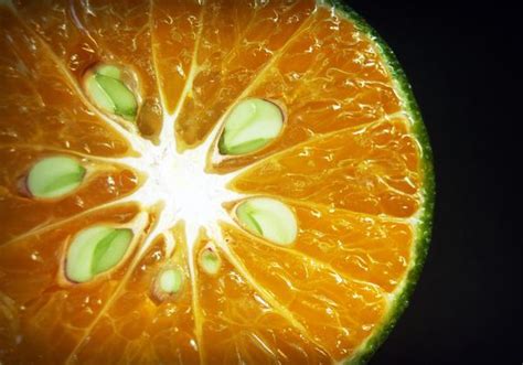 5 Untold Benefits Of Orange Seeds