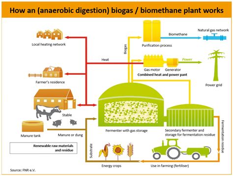 Bioenergy The Troubled Pillar Of The Energiewende Clean Energy Wire