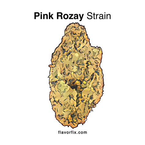 Pink Rozay Strain Cookies Cannabis Flavor Fix