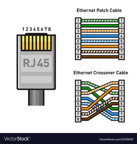 Inside the ethernet cable, there are 8 color coded wires. Ethernet Connector Pinout Color Code Straight and Vector Image