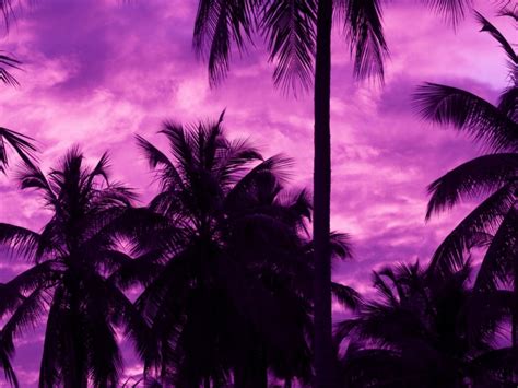10000ダウンロード済み√ Purple Sky Background 948462 Purple Sky Background Tumblr