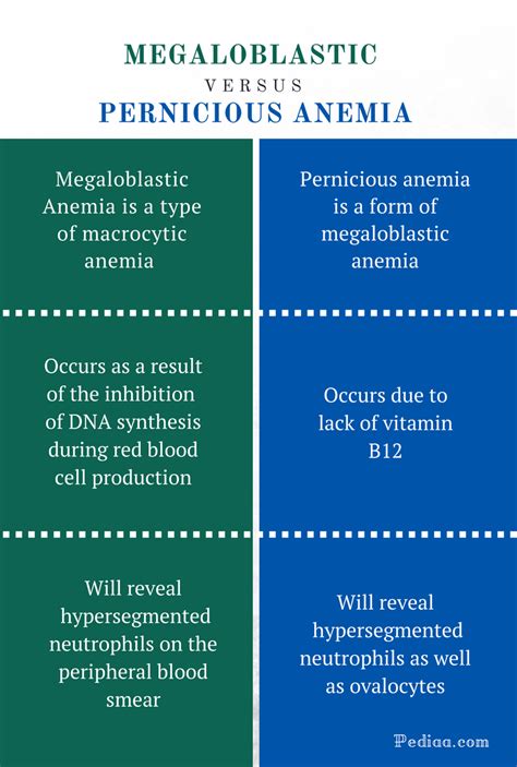 Difference Between Megaloblastic And Pernicious Anemia Causes Signs