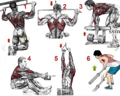 Image Result For Lat Workout For Men At Gym Back Workout For Mass