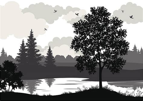 Best Black And White Landscape Illustrations Royalty Free Vector