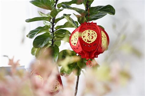 It is time for families to be together and a week. Red And Rat: 7 Luxurious Chinese New Year Decorations For ...