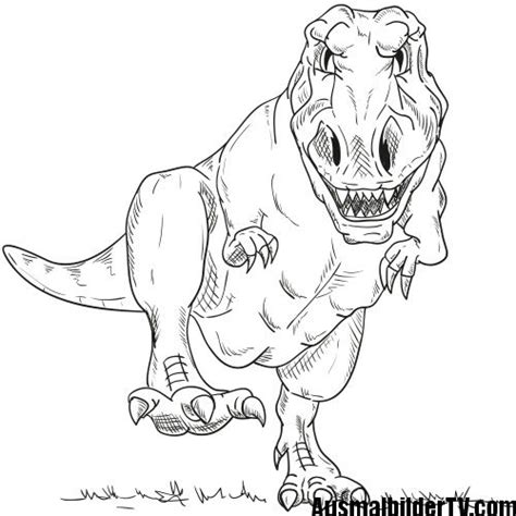 T Rex Ausmalbild Dinosaurier Ausmalbilder Ausmalbilder Malvorlage