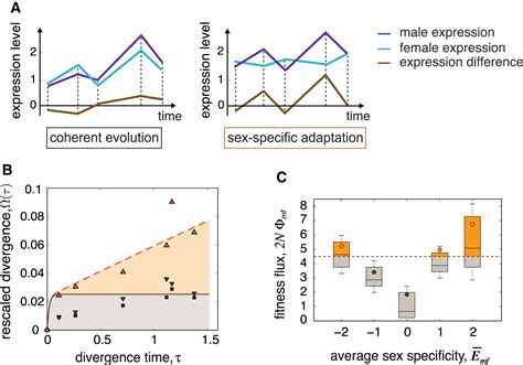 Adaptive Evolution Of Gene Expression In Drosophila Cell