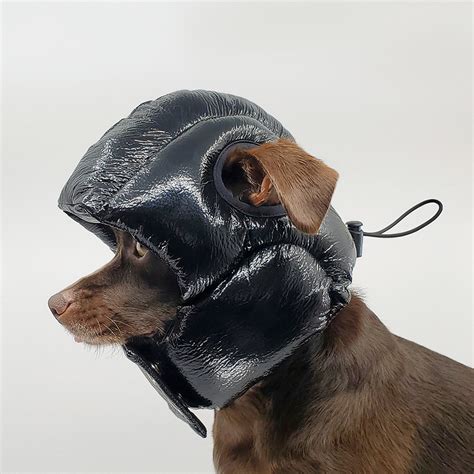 Rajeev Basu Makes Luxury Padded Helmets For Dogs To Sleep In