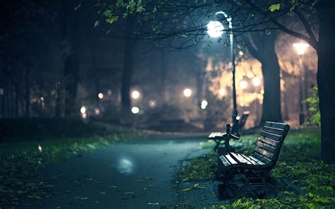 Online Crop Hd Wallpaper Two Black Benches Near Tree At Night Photo