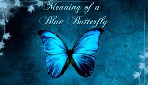 Meaning Of A Blue Butterfly There Could Be Different Reasons That You