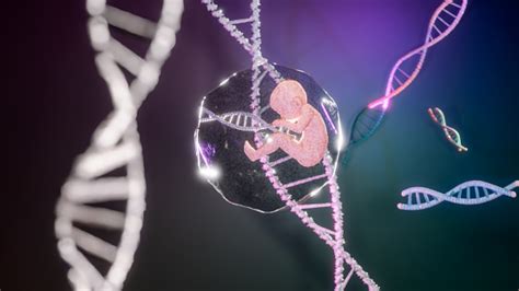 Fetus With Dna Stock Photo Download Image Now Baby Human Age