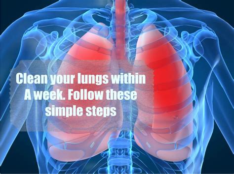 Clean Your Lungs Within A Week Follow These Simple Steps Health And