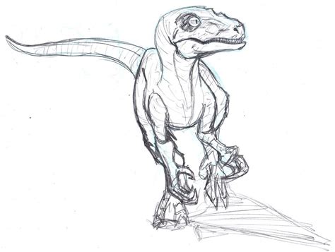 Velociraptor Sketch By Constantscribbles On Deviantart In 2020