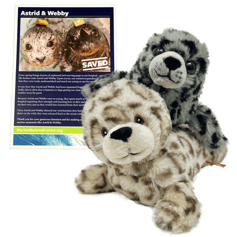 Adopt A Seal® Astrid And Webby The Marine Mammal Center T Store