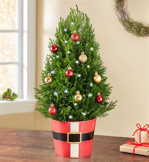 Your christmas tree is the centerpiece of all of your holiday decor, so transform it into a masterpiece. The Easiest Gifts To Give This Holiday Season If You're a ...