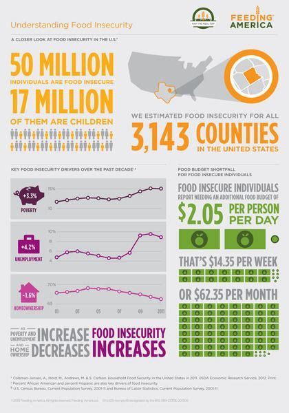 Food Insecurity Screening Healthy Food Playbook Food Infographic