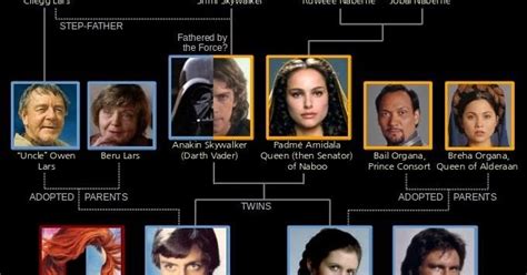 Biología 2 Herencia En La Familia Skywalker