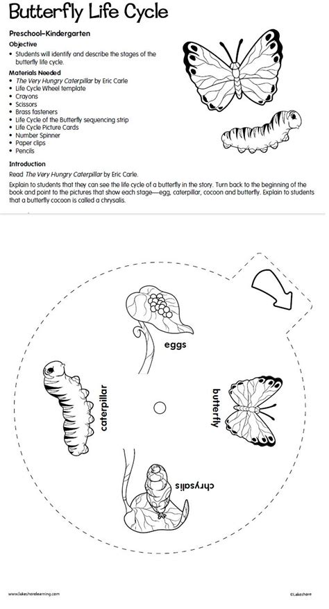 Butterfly Life Cycle Lesson Plan From Lakeshore Learning Students