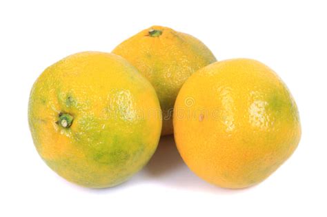 Tangerine Or Mandarin Fruit Stock Image Image Of Refreshing Fruity