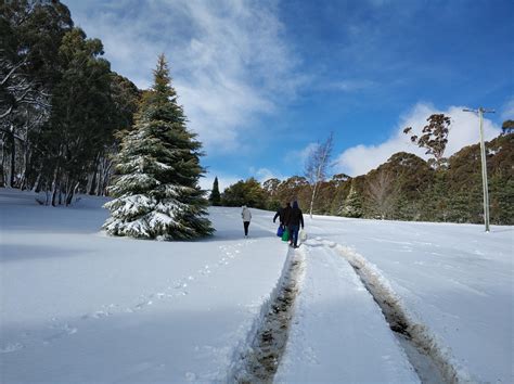 Snowy Scene Near Oberon Blue Mountains Region Australia 🇦🇺 Less Than