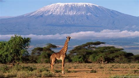 X Mount Kilimanjaro Wallpaper For Computer Coolwallpapers Me