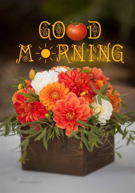 Rika Blog Good Morning Images With Orange Flowers