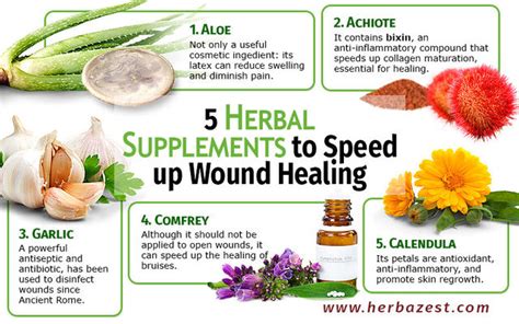 5 Herbal Supplements To Speed Up Wound Healing