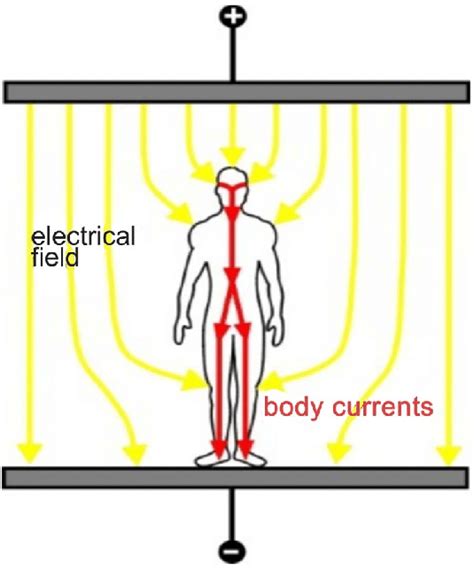 An External Electric Field Causes An Electrical Charging Of The Body