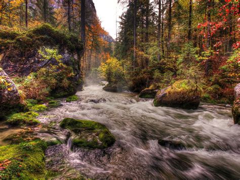 Autumn Riverscape By Burtn On Deviantart