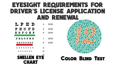 Eyesight Requirements For Drivers License Application And Renewal