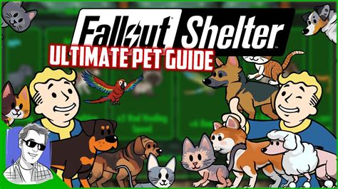 As of the 1.5 update, weapons and outfits can be scrapped for junk. How To Get A Free Pet In Fallout Shelter - PetsWall