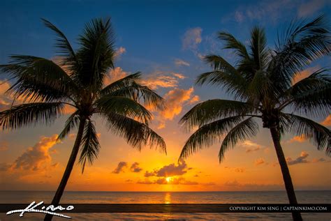 Coconut Tree Sunrise At The Beach Royal Stock Photo